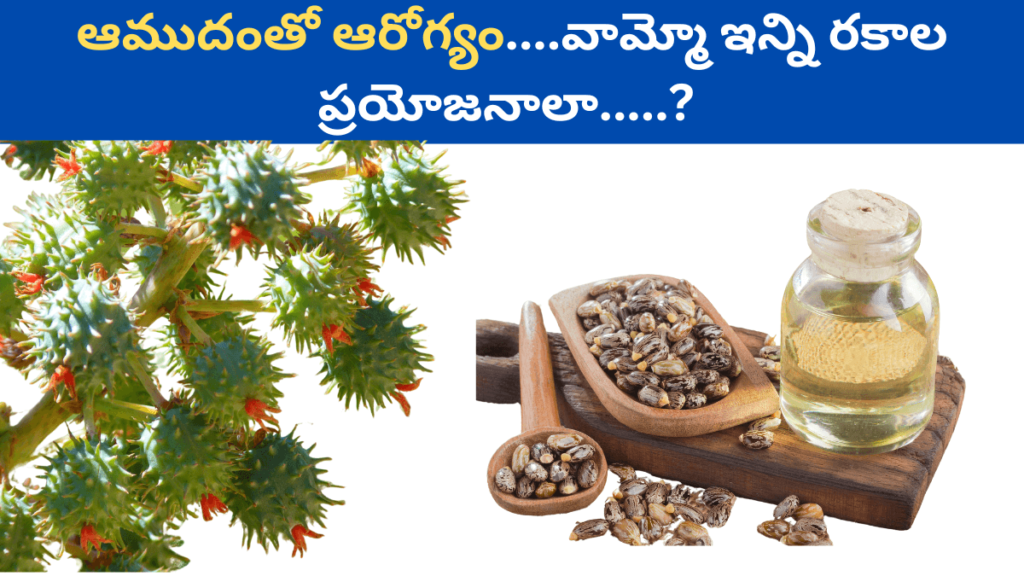 Castor Oil in Telugu