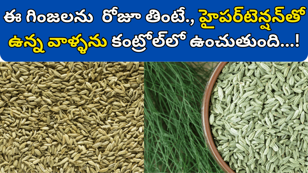 Fennel Seeds in Telugu