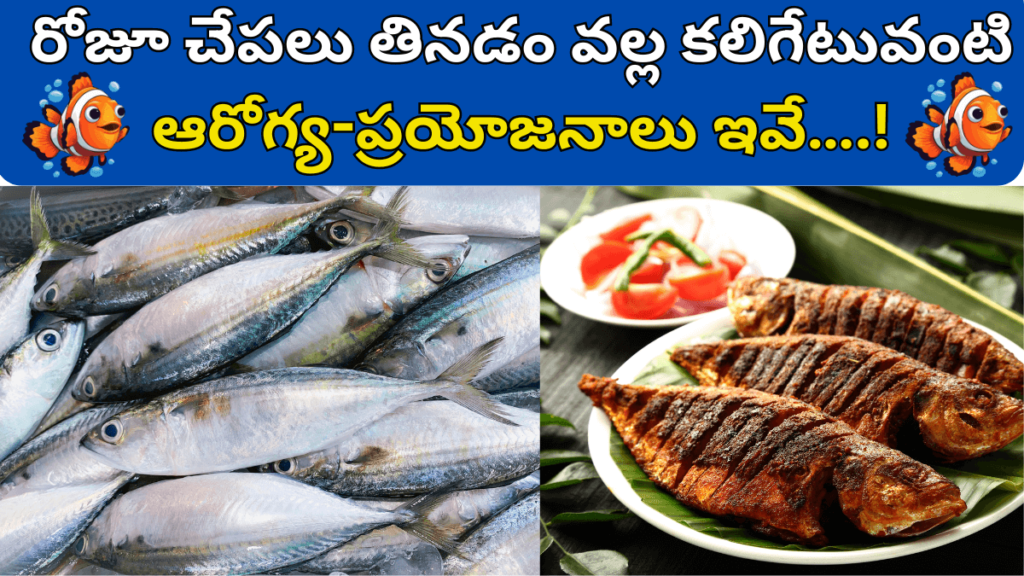 Fish Benefits in Telugu