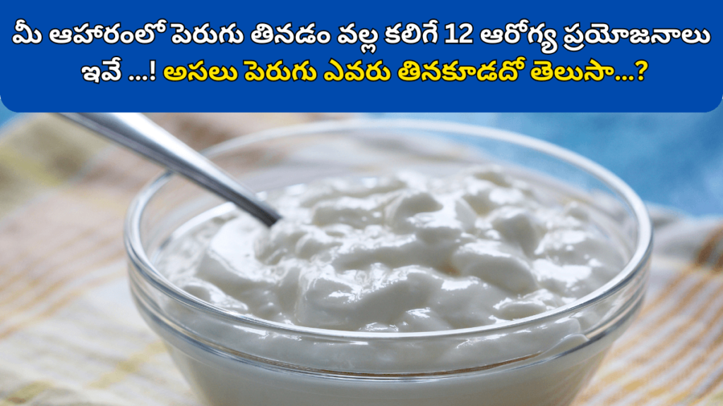 Health Benefits of Curd