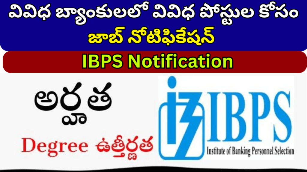 IBPS Notification 2024