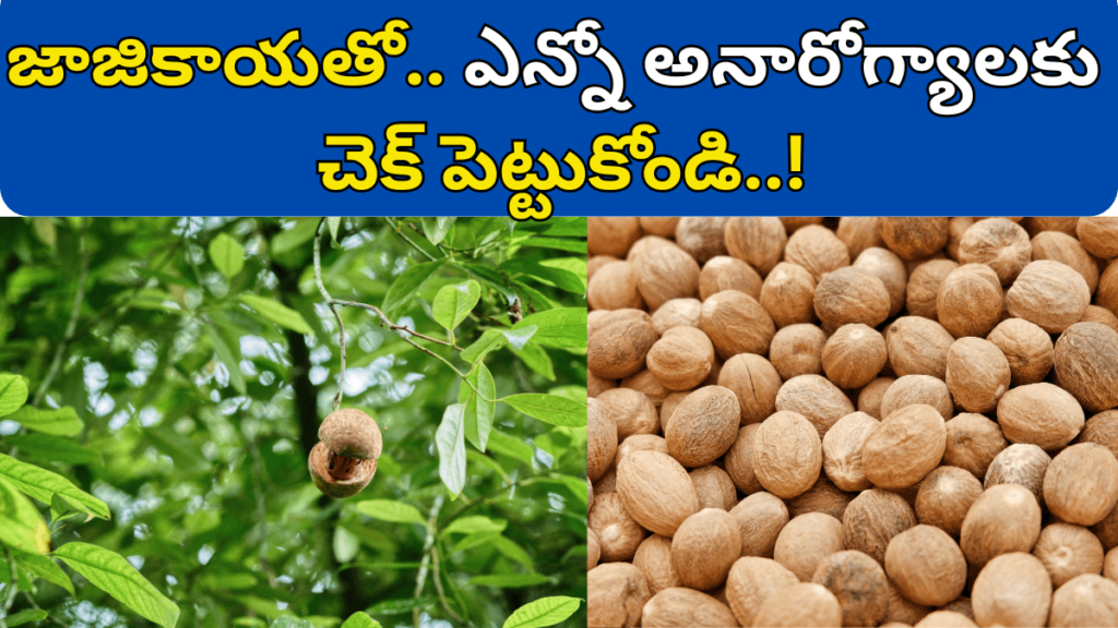 Jajikaya Uses in Telugu