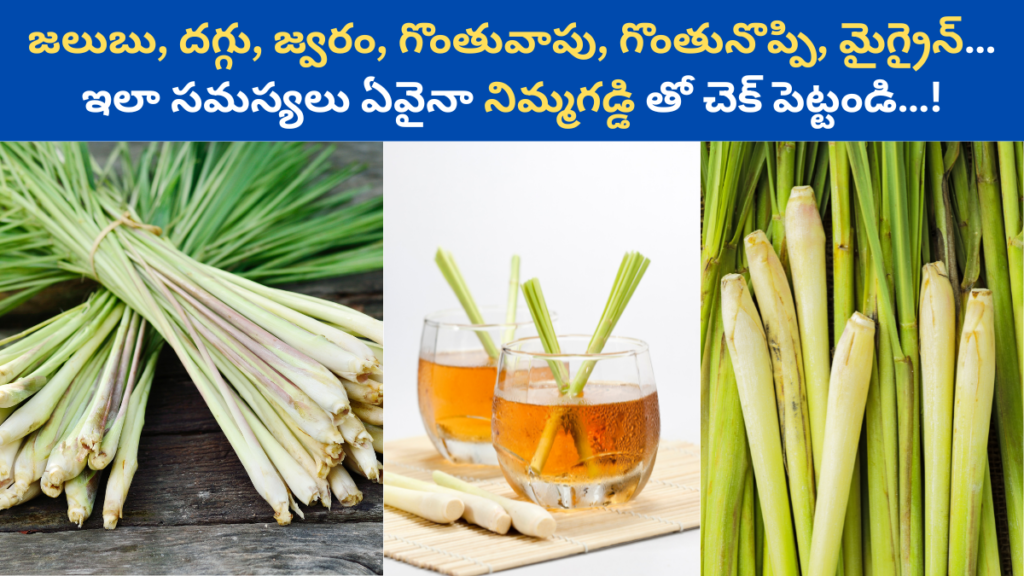 Lemongrass in Telugu