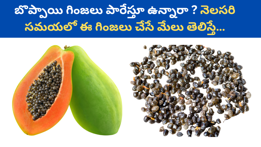 Papaya Seeds