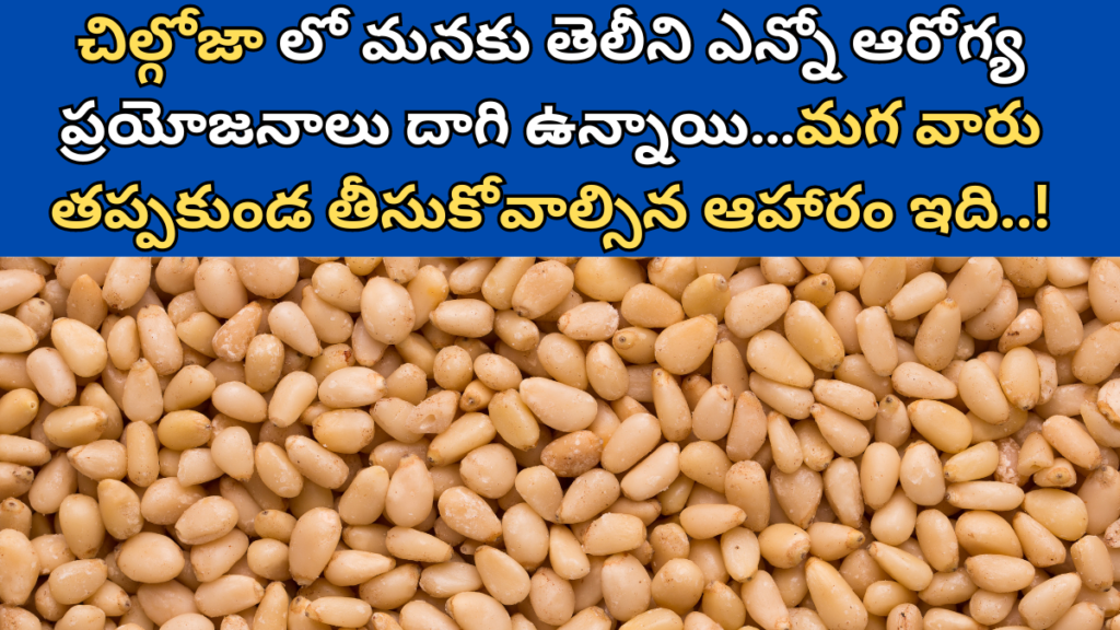 Pine Nuts in Telugu