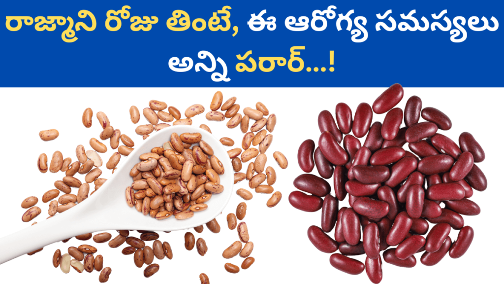 Rajma in Telugu