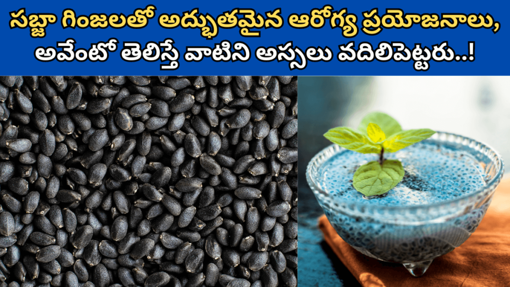 Sabja Seeds in Telugu