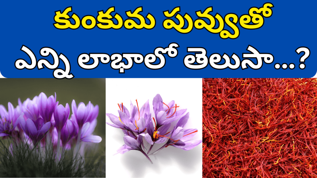 Saffron in Telugu