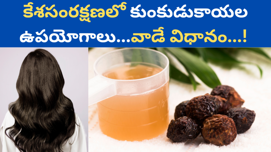 Soap Nuts in Telugu