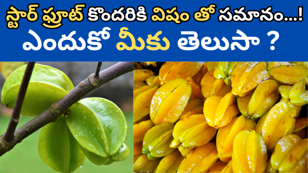 Star Fruit in Telugu