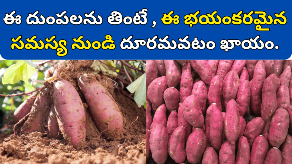 Sweet Potato in Telugu Benefits