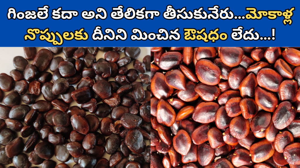 Tamarind Seeds Benefits in Telugu