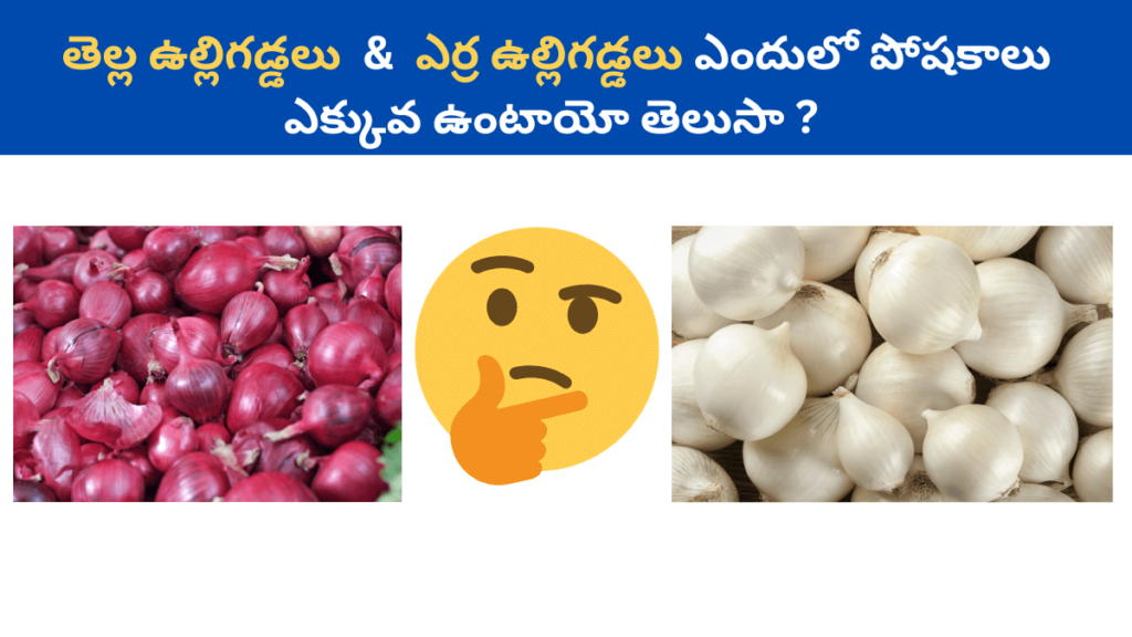 White Onion vs Red Onion