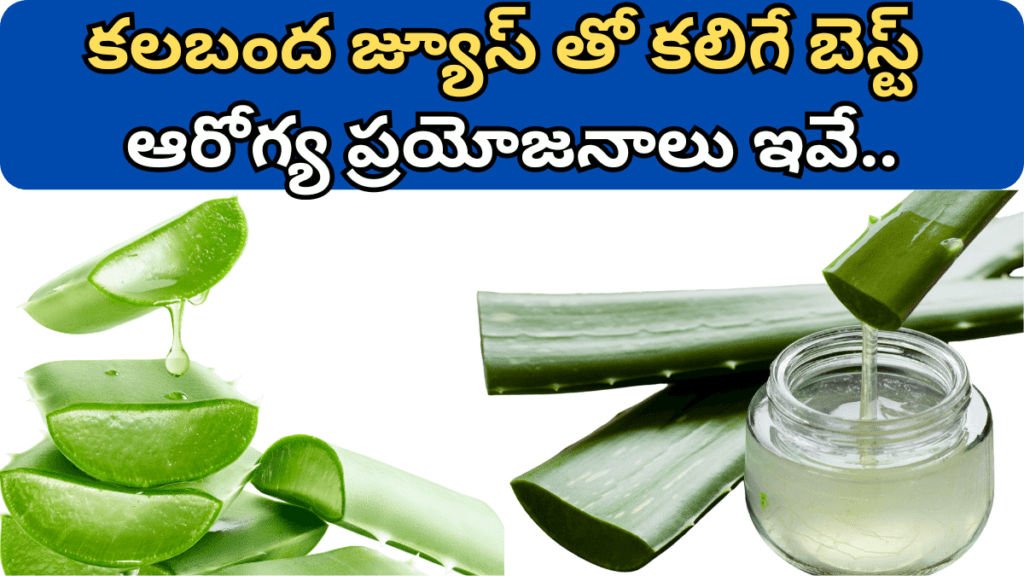 Aloe Vera in Telugu