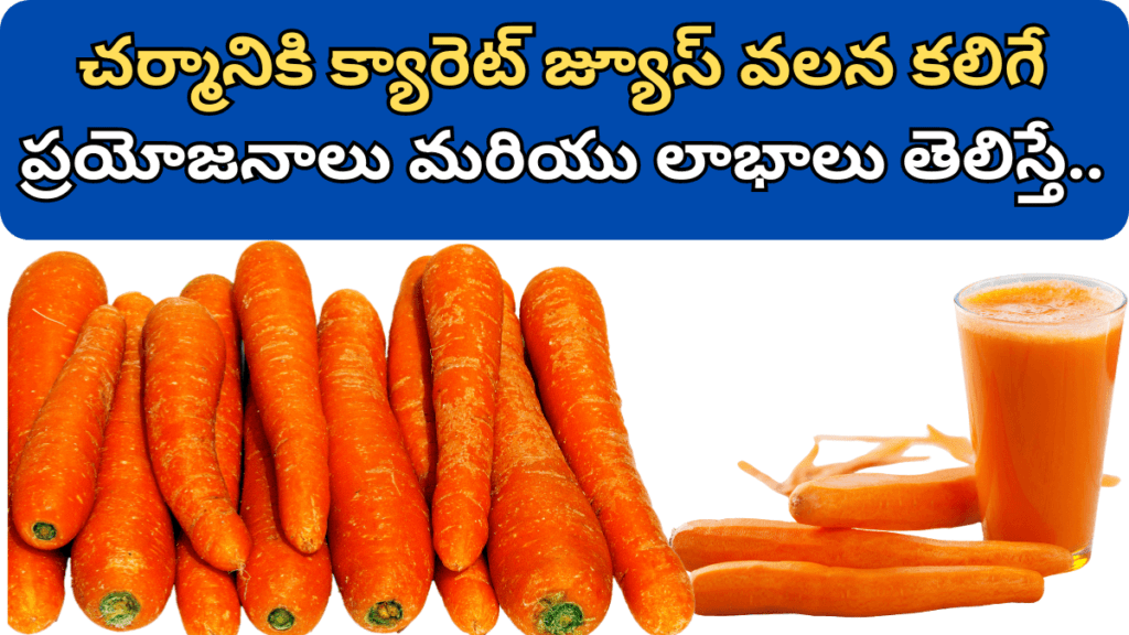 Carrot in Telugu