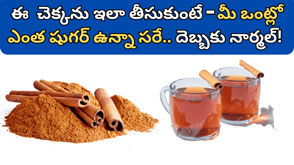 Dalchina Chekka Uses in Telugu