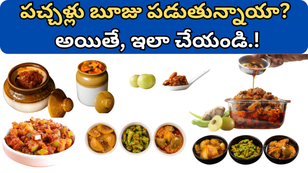 Pickle in Telugu