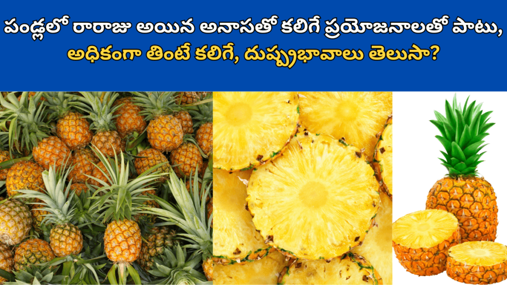 Pineapple in Telugu