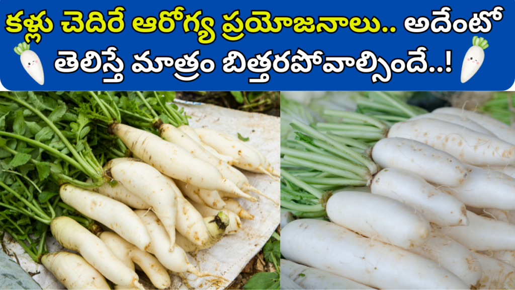 Radish in Telugu