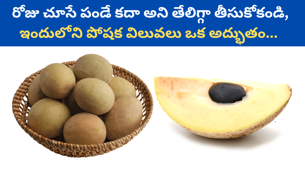 Sapota in Telugu