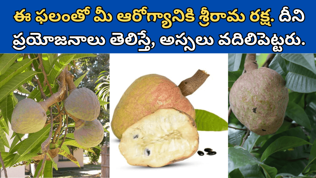 Ramphal in Telugu